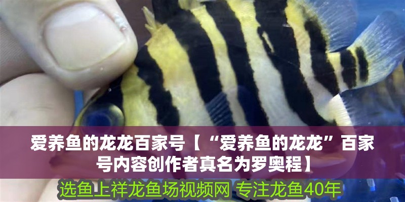 愛養魚的龍龍百家號【“愛養魚的龍龍”百家號內容創作者真名為羅奧程】 龍魚論壇 愛養魚的龍龍百家號【“愛養魚的龍龍”百家號內容創作者真名為羅奧程】 愛養魚的龍龍百家號【“愛養魚的龍龍”百家號內容創作者真名為羅奧程】 龍魚論壇