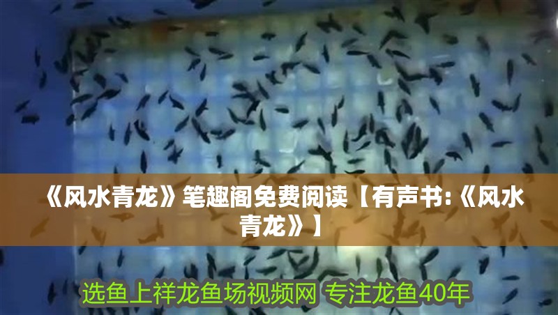 《風(fēng)水青龍》筆趣閣免費(fèi)閱讀【有聲書:《風(fēng)水青龍》】