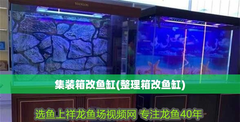 集裝箱改魚(yú)缸(整理箱改魚(yú)缸)