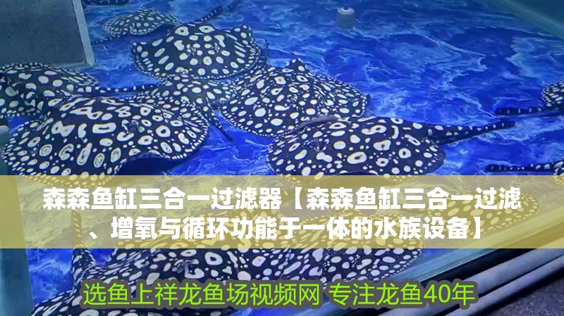 森森魚缸三合一過濾器【森森魚缸三合一過濾、增氧與循環功能于一體的水族設備】