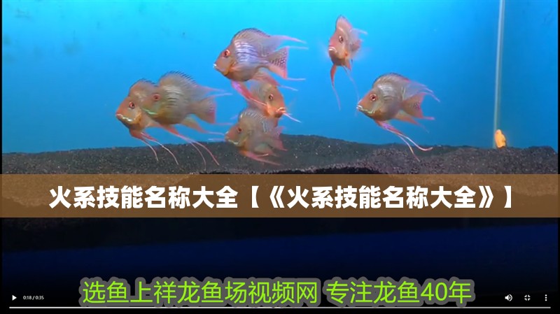 火系技能名稱大全【《火系技能名稱大全》】 火系技能名稱大全【《火系技能名稱大全》】 龍魚論壇