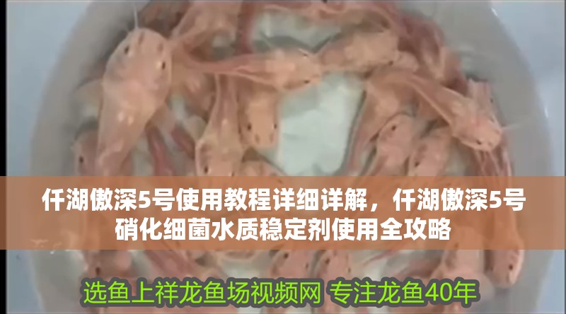 仟湖傲深5號使用教程詳細詳解，仟湖傲深5號硝化細菌水質穩定劑使用全攻略