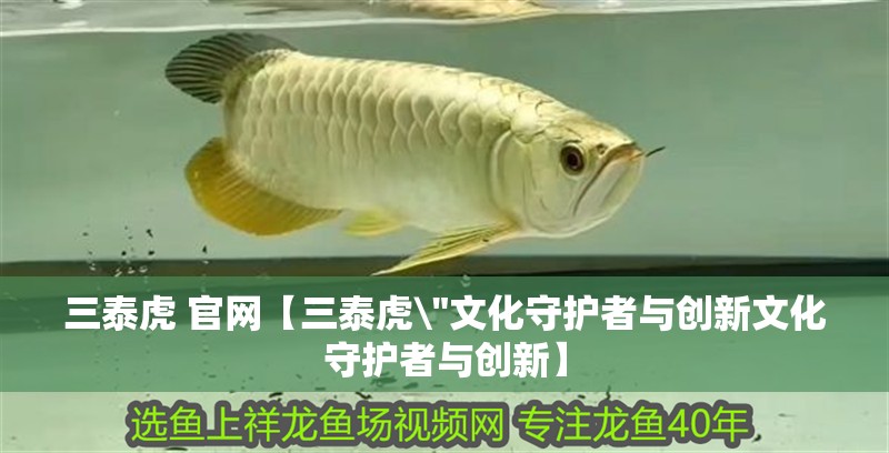 三泰虎 官網【三泰虎\