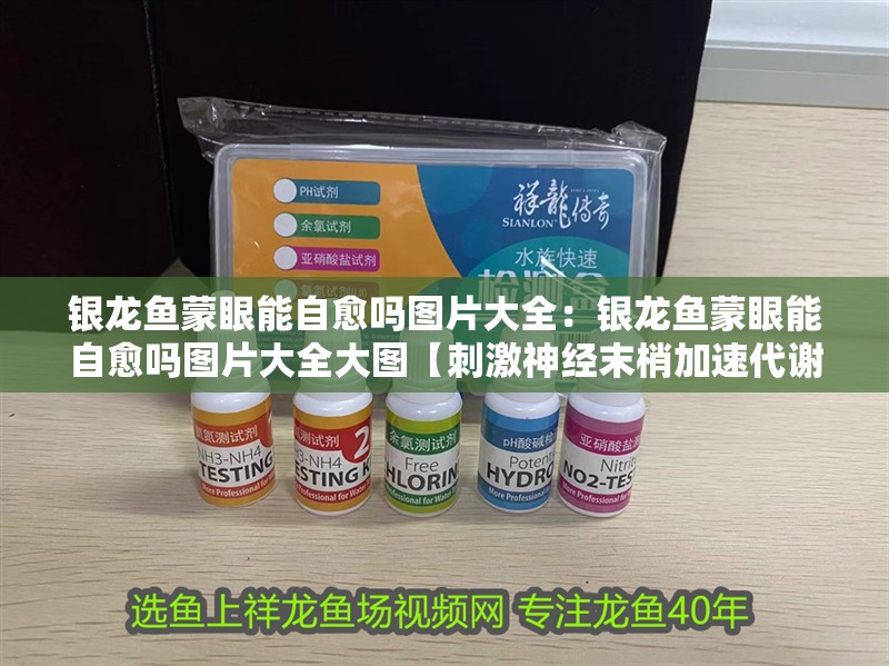 銀龍魚蒙眼能自愈嗎圖片大全：銀龍魚蒙眼能自愈嗎圖片大全大圖【刺激神經末梢加速代謝廢人工干預治療銀龍魚蒙眼自愈】