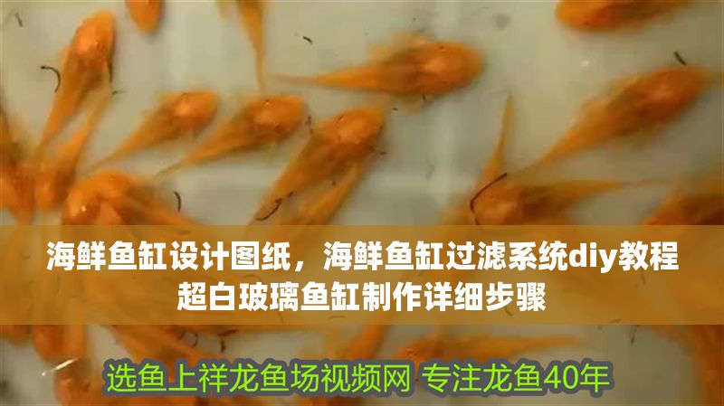 海鮮魚缸設計圖紙，海鮮魚缸過濾系統diy教程超白玻璃魚缸制作詳細步驟