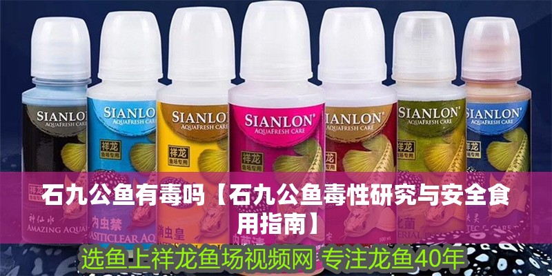 石九公魚有毒嗎【石九公魚毒性研究與安全食用指南】