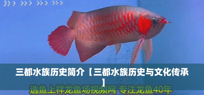 三都水族歷史簡介【三都水族歷史與文化傳承】 三都水族歷史簡介【三都水族歷史與文化傳承】 龍魚論壇