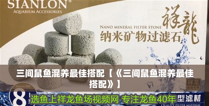 三間鼠魚混養(yǎng)最佳搭配【《三間鼠魚混養(yǎng)最佳搭配》】 龍魚論壇 三間鼠魚混養(yǎng)最佳搭配【《三間鼠魚混養(yǎng)最佳搭配》】 三間鼠魚混養(yǎng)最佳搭配【《三間鼠魚混養(yǎng)最佳搭配》】 龍魚論壇