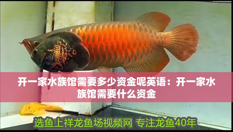 開一家水族館需要多少資金呢英語：開一家水族館需要什么資金