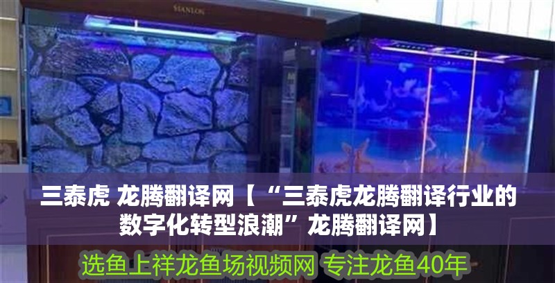 三泰虎 龍騰翻譯網【“三泰虎龍騰翻譯行業的數字化轉型浪潮”龍騰翻譯網】