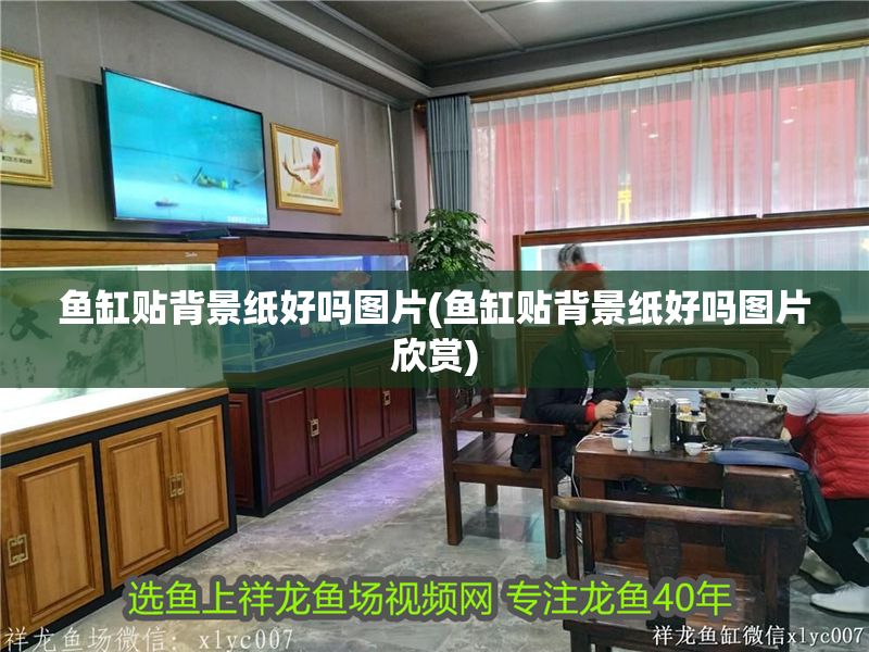 魚缸貼背景紙好嗎圖片(魚缸貼背景紙好嗎圖片欣賞) 黃金貓魚百科 第1張 魚缸貼背景紙好嗎圖片(魚缸貼背景紙好嗎圖片欣賞) 魚缸貼背景紙好嗎圖片(魚缸貼背景紙好嗎圖片欣賞) 黃金貓魚百科 第1張