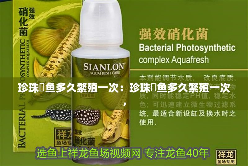 珍珠魟魚多久繁殖一次：珍珠魟魚多久繁殖一次， 珍珠魟魚多久繁殖一次：珍珠魟魚多久繁殖一次， 魟魚百科 第2張