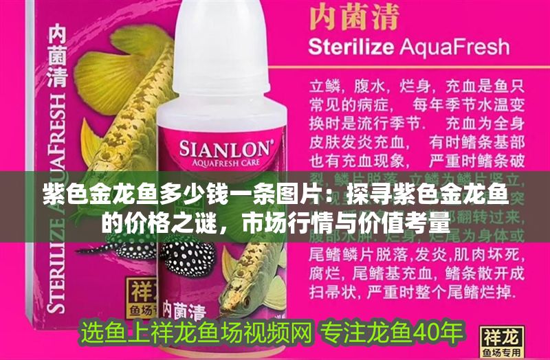 紫色金龍魚多少錢一條圖片：探尋紫色金龍魚的價格之謎，市場行情與價值考量