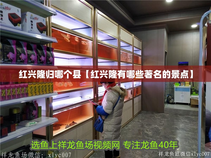 紅興隆歸哪個(gè)縣【紅興隆有哪些著名的景點(diǎn)】 龍魚論壇 紅興隆歸哪個(gè)縣【紅興隆有哪些著名的景點(diǎn)】 紅興隆歸哪個(gè)縣【紅興隆有哪些著名的景點(diǎn)】 龍魚論壇
