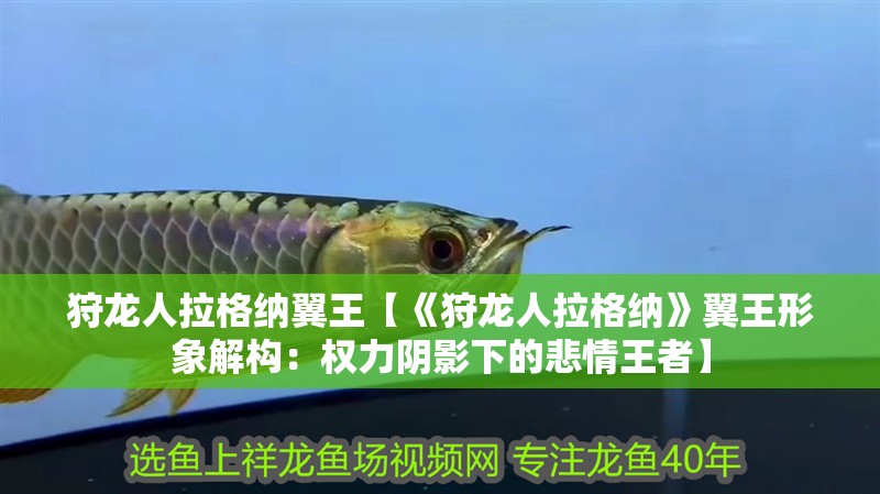 狩龍人拉格納翼王【《狩龍人拉格納》翼王形象解構：權力陰影下的悲情王者】 狩龍人拉格納翼王【《狩龍人拉格納》翼王形象解構：權力陰影下的悲情王者】 龍魚論壇