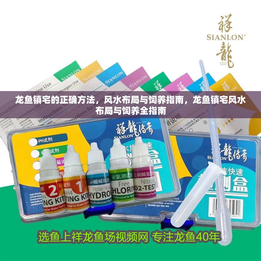 龍魚鎮宅的正確方法，風水布局與飼養指南，龍魚鎮宅風水布局與飼養全指南