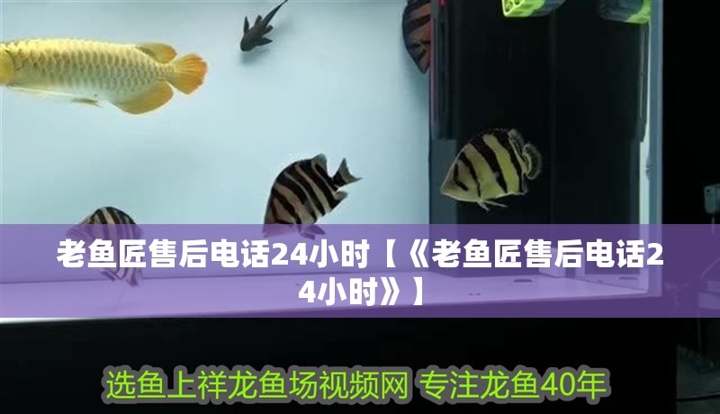 老魚匠售后電話24小時【《老魚匠售后電話24小時》】