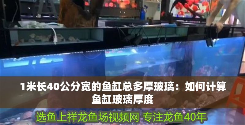1米長(zhǎng)40公分寬的魚缸總多厚玻璃：如何計(jì)算魚缸玻璃厚度