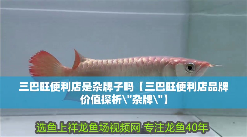 三巴旺便利店是雜牌子嗎【三巴旺便利店品牌價值探析\