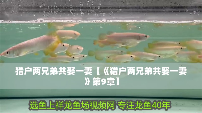 獵戶兩兄弟共娶一妻【《獵戶兩兄弟共娶一妻》第9章】