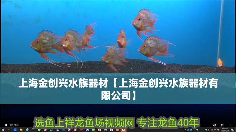 上海金創興水族器材【上海金創興水族器材有限公司】