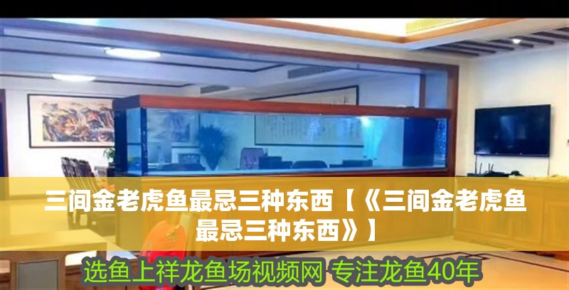 三間金老虎魚最忌三種東西【《三間金老虎魚最忌三種東西》】