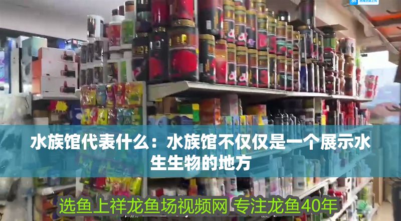 水族館代表什么：水族館不僅僅是一個展示水生生物的地方