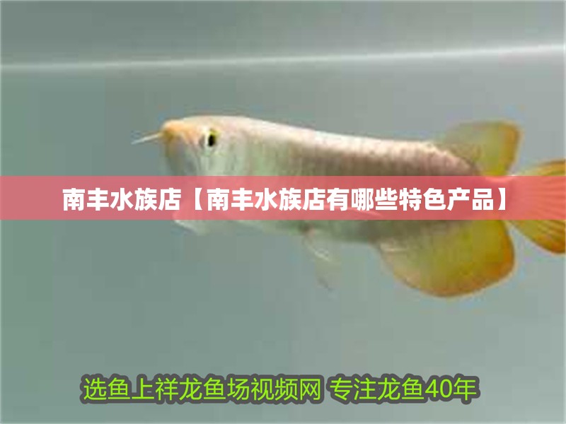 南豐水族店【南豐水族店有哪些特色產(chǎn)品】