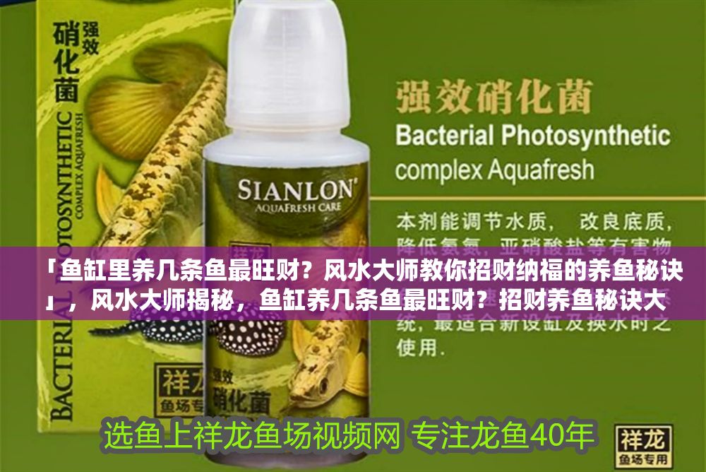 「魚缸里養幾條魚最旺財？風水大師教你招財納福的養魚秘訣」，風水大師揭秘，魚缸養幾條魚最旺財？招財養魚秘訣大公開 「魚缸里養幾條魚最旺財？風水大師教你招財納福的養魚秘訣」，風水大師揭秘，魚缸養幾條魚最旺財？招財養魚秘訣大公開 龍魚百科 第1張