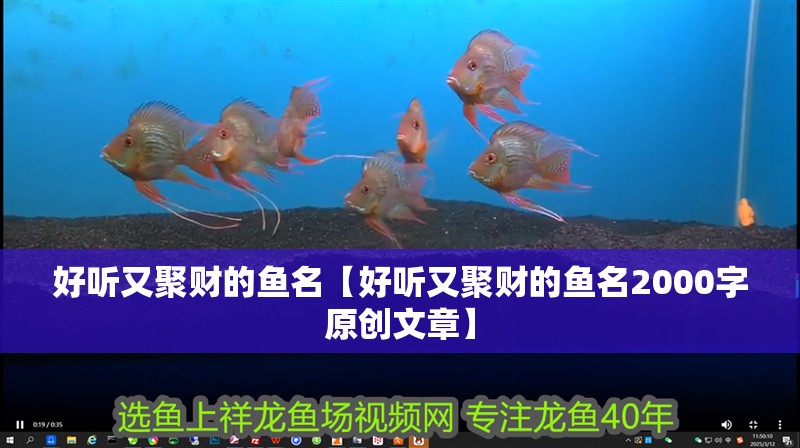 好聽又聚財?shù)聂~名【好聽又聚財?shù)聂~名2000字原創(chuàng)文章】