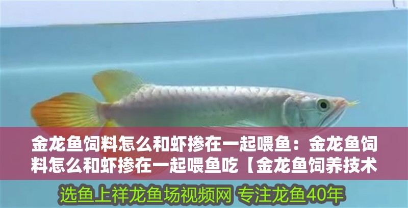 金龍魚飼料怎么和蝦摻在一起喂魚:金龍魚飼料怎么和蝦摻在一起喂魚吃【金龍魚飼養技術|金龍魚飼養技術】 水族問答 金龍魚飼料怎么和蝦摻在一起喂魚:金龍魚飼料怎么和蝦摻在一起喂魚吃【金龍魚飼養技術|金龍魚飼養技術】 金龍魚飼料怎么和蝦摻在一起喂魚:金龍魚飼料怎么和蝦摻在一起喂魚吃【金龍魚飼養技術|金龍魚飼養技術】 水族問答