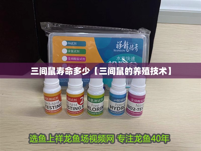 三間鼠壽命多少【三間鼠的養殖技術】