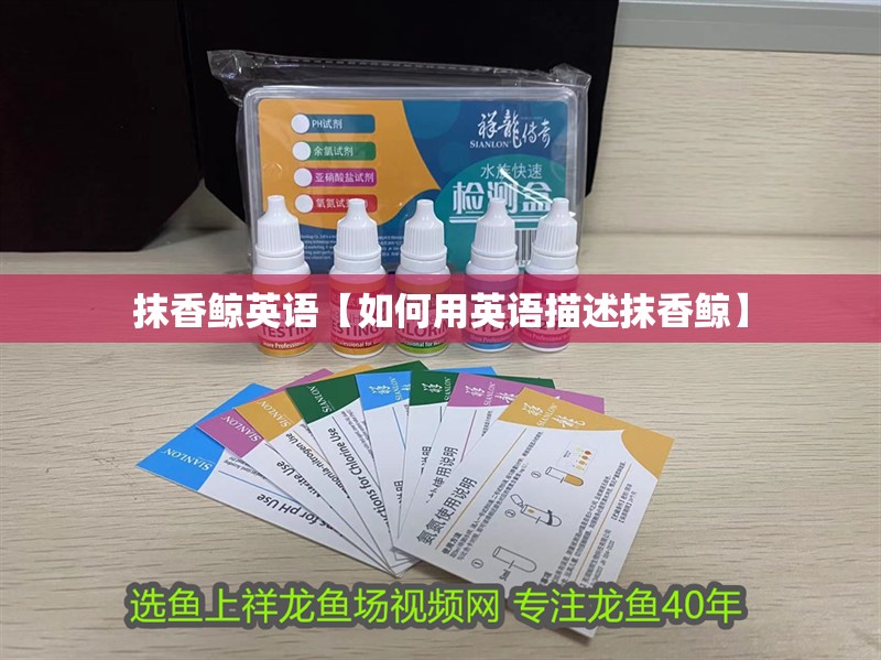 抹香鯨英語【如何用英語描述抹香鯨】