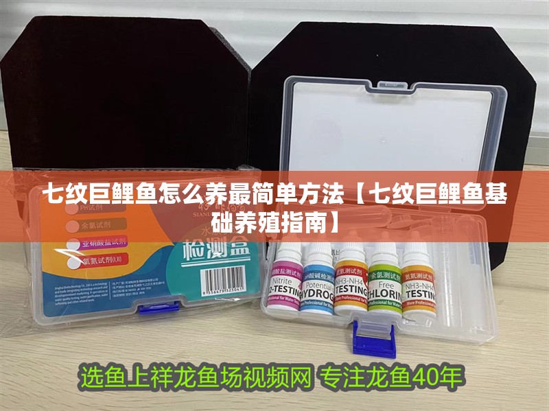 七紋巨鯉魚怎么養最簡單方法【七紋巨鯉魚基礎養殖指南】
