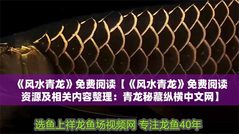 《風水青龍》免費閱讀【《風水青龍》免費閱讀資源及相關(guān)內(nèi)容整理：青龍秘藏縱橫中文網(wǎng)】