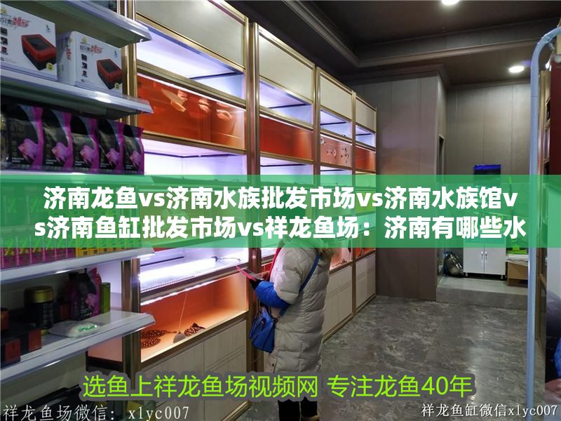 濟南龍魚vs濟南水族批發市場vs濟南水族館vs濟南魚缸批發市場vs祥龍魚場：濟南有哪些水族批發市場？ 濟南龍魚vs濟南水族批發市場vs濟南水族館vs濟南魚缸批發市場vs祥龍魚場：濟南有哪些水族批發市場？ 祥龍魚場各市分站 第2張