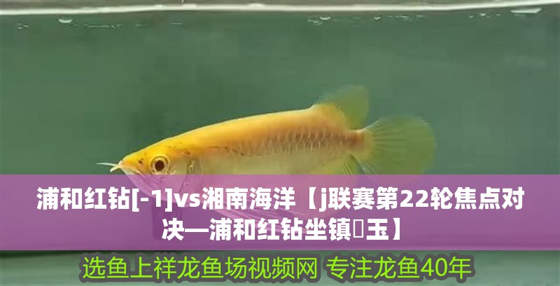 浦和紅鉆[-1]vs湘南海洋【j聯(lián)賽第22輪焦點(diǎn)對(duì)決—浦和紅鉆坐鎮(zhèn)埼玉】 浦和紅鉆[-1]vs湘南海洋【j聯(lián)賽第22輪焦點(diǎn)對(duì)決—浦和紅鉆坐鎮(zhèn)埼玉】 龍魚論壇