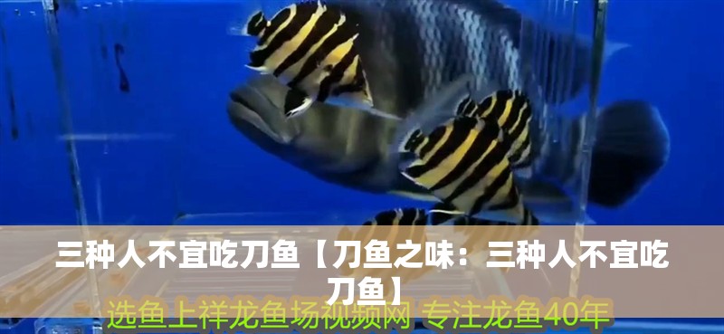 三種人不宜吃刀魚【刀魚之味：三種人不宜吃刀魚】 三種人不宜吃刀魚【刀魚之味：三種人不宜吃刀魚】 龍魚論壇