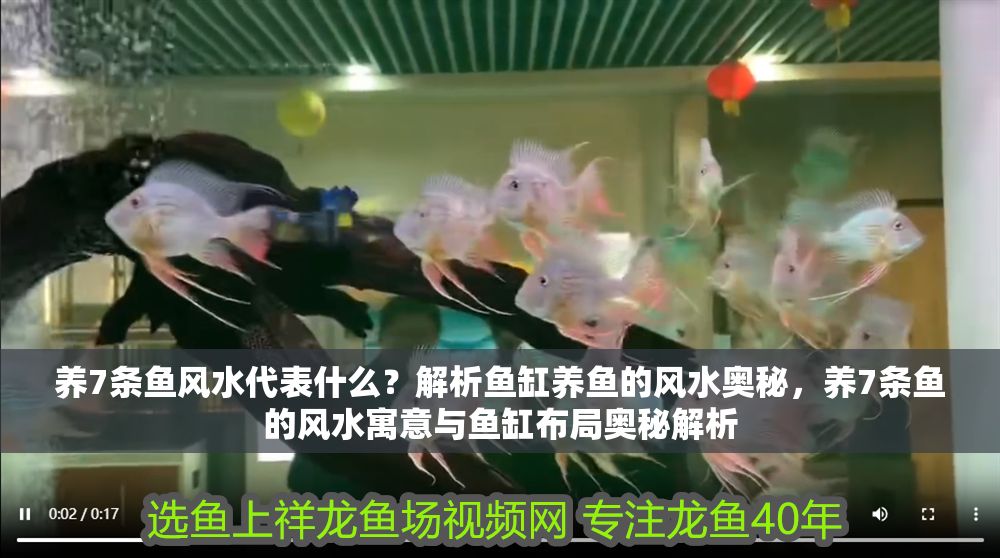 養7條魚風水代表什么？解析魚缸養魚的風水奧秘，養7條魚的風水寓意與魚缸布局奧秘解析