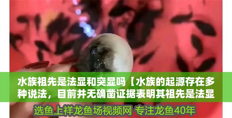 水族祖先是法顯和突顯嗎【水族的起源存在多種說法，目前并無確鑿證據表明其祖先是法顯和突顯】