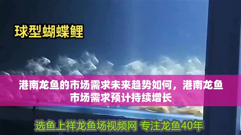 養(yǎng)魚聚財還是破財：破局，女性與家庭養(yǎng)魚的多元視角