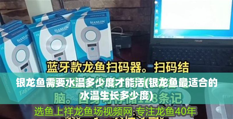 銀龍魚需要水溫多少度才能活(銀龍魚最適合的水溫生長多少度) 銀龍魚百科 第1張 銀龍魚需要水溫多少度才能活(銀龍魚最適合的水溫生長多少度) 銀龍魚需要水溫多少度才能活(銀龍魚最適合的水溫生長多少度) 銀龍魚百科 第1張
