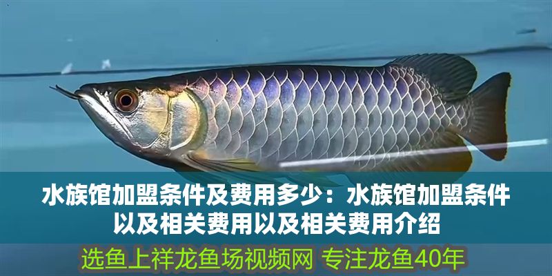 水族館加盟條件及費用多少：水族館加盟條件以及相關費用以及相關費用介紹