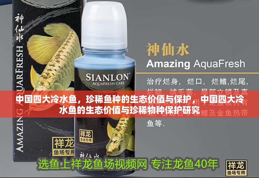 詳細(xì)閱讀:中國(guó)四大冷水魚(yú),珍稀魚(yú)種的生態(tài)價(jià)值與保護(hù),中國(guó)四大冷水魚(yú)的生態(tài)價(jià)值與珍稀物種保護(hù)研究 中國(guó)四大冷水魚(yú),珍稀魚(yú)種的生態(tài)價(jià)值與保護(hù),中國(guó)四大冷水魚(yú)的生態(tài)價(jià)值與珍稀物種保護(hù)研究