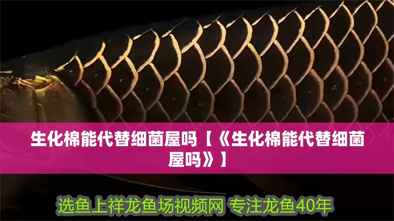 生化棉能代替細(xì)菌屋嗎【《生化棉能代替細(xì)菌屋嗎》】