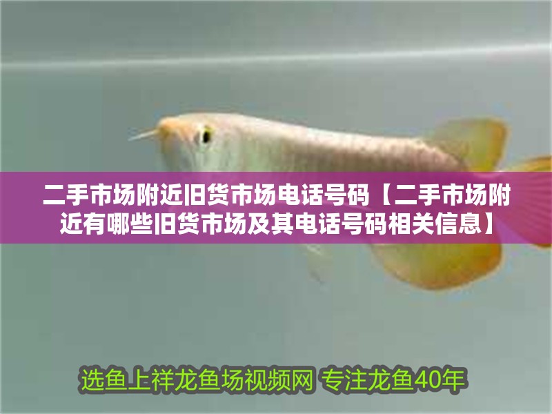 二手市場附近舊貨市場電話號碼【二手市場附近有哪些舊貨市場及其電話號碼相關信息】 二手市場附近舊貨市場電話號碼【二手市場附近有哪些舊貨市場及其電話號碼相關信息】 龍魚論壇