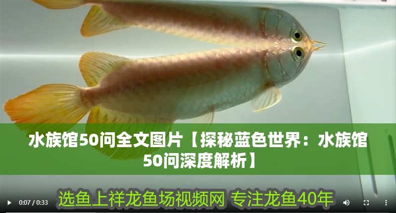 水族館50問全文圖片【探秘藍色世界：水族館50問深度解析】