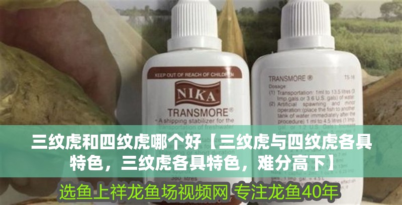 三紋虎和四紋虎哪個好【三紋虎與四紋虎各具特色，三紋虎各具特色，難分高下】