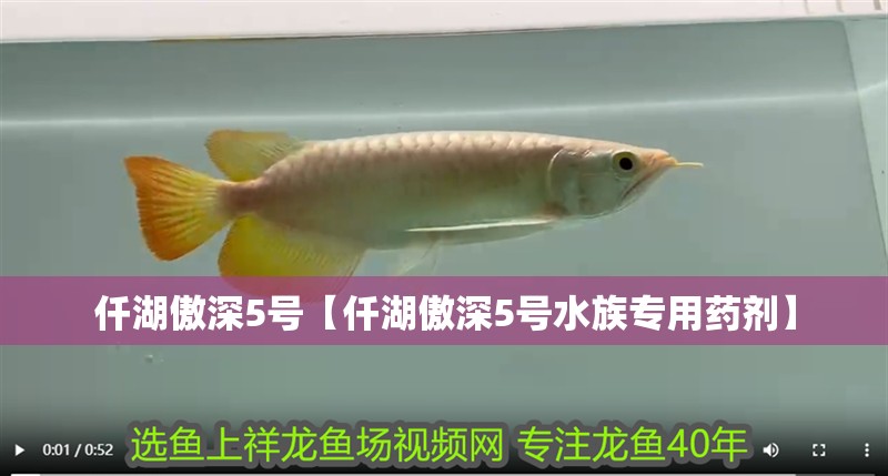 仟湖傲深5號【仟湖傲深5號水族專用藥劑】 仟湖傲深5號【仟湖傲深5號水族專用藥劑】 龍魚論壇