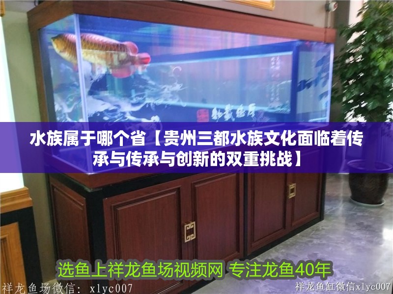 水族屬于哪個(gè)省【貴州三都水族文化面臨著傳承與傳承與創(chuàng)新的雙重挑戰(zhàn)】